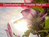 Towering Clematis Floral Nature Photo DIY Wall Decor Instant Download Print - Printable  - PIPAFINEART