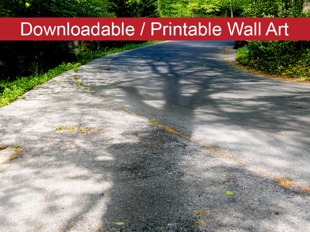 Summer Shadows Botanical Nature Photo DIY Wall Decor Instant Download Print - Printable  - PIPAFINEART