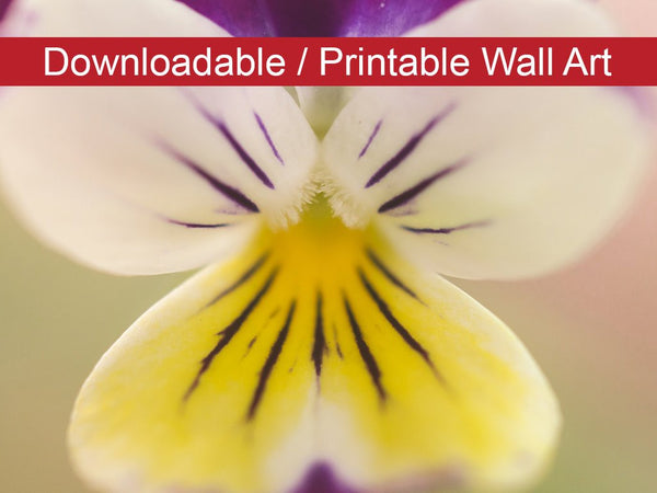 Oh, Violet Floral Nature Photo DIY Wall Decor Instant Download Print - Printable  - PIPAFINEART