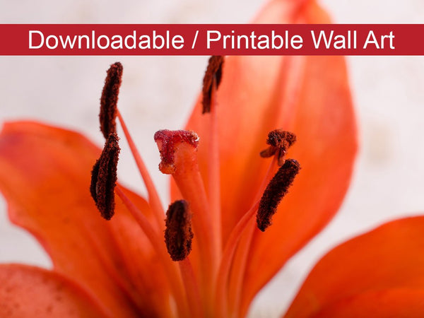 Lily Stigma Floral Nature Photo DIY Wall Decor Instant Download Print - Printable  - PIPAFINEART
