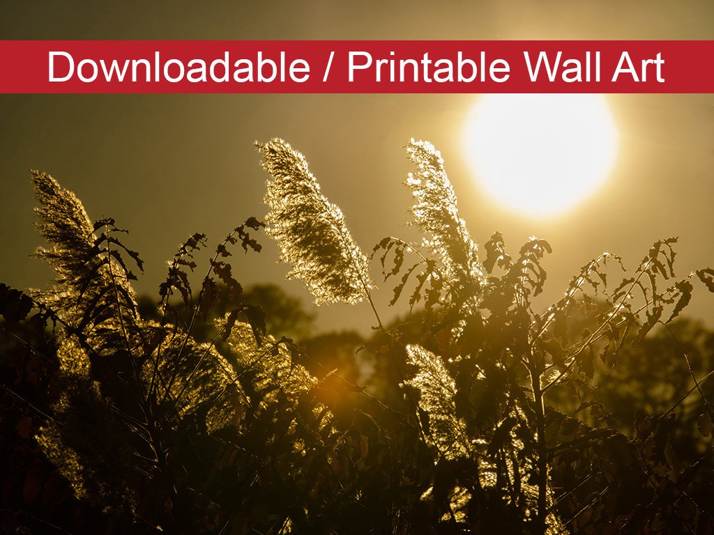 Golden Marsh Weeds Botanical Nature Photo DIY Wall Decor Instant Download Print - Printable  - PIPAFINEART