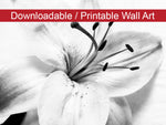 High-key Lily Floral Nature Photo DIY Wall Decor Instant Download Print - Printable  - PIPAFINEART
