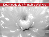 Infrared Flower 2 Floral Nature Photo DIY Wall Decor Instant Download Print - Printable  - PIPAFINEART