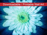 Brilliant Flower Floral Nature Photo DIY Wall Decor Instant Download Print - Printable  - PIPAFINEART