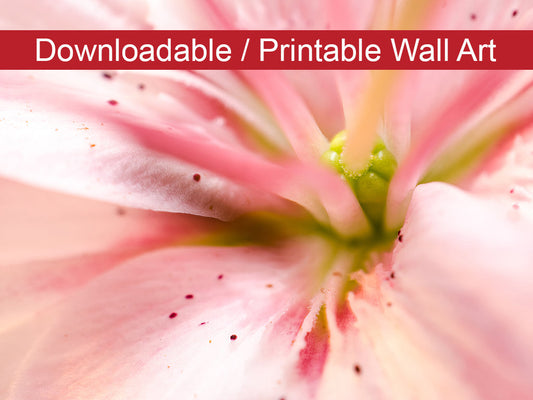 Center of the Stargazer Lily Floral Nature Photo DIY Wall Decor Instant Download Print - Printable  - PIPAFINEART