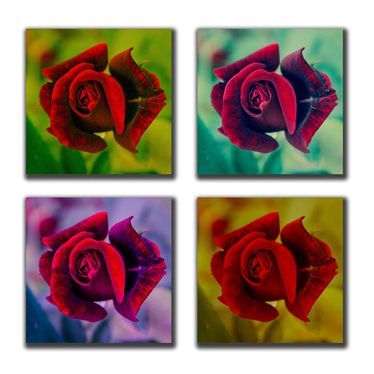 Square Rose Collection Limited Edition Signed Canvas Gallery Wraps - Fine Art Nature Photograph  - PIPAFINEART