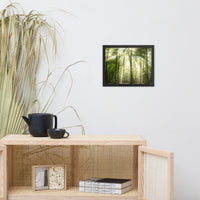 Sun Rays Through Treetops in the Forest Framed Photo Paper Wall Art Prints