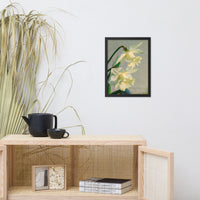 Colorized Daffodils Floral Nature Photo Framed Wall Art Print