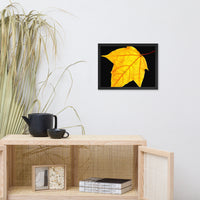 Brilliant Yellow Botanical Nature Photo Framed Wall Art Print