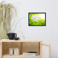 Beauty of the Forest Floor Floral Nature Photo Framed Wall Art Print