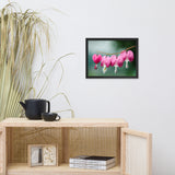 Be Still My Bleeding Heart Floral Nature Photo Framed Wall Art Print