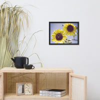 Aged Sunflowers Against Sky Floral Nature Photo Framed Wall Art Print