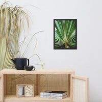 Aged and Colorized Wide Palm Leaves 2 Tropical Nature Photo Wall Art Print