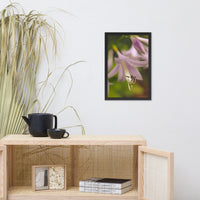 Close-up Hosta Bloom Floral Nature Photo Framed Wall Art Print