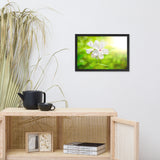 Beauty of the Forest Floor Floral Nature Photo Framed Wall Art Print