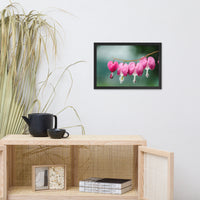 Be Still My Bleeding Heart Floral Nature Photo Framed Wall Art Print