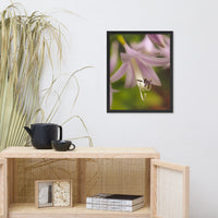 Close-up Hosta Bloom Floral Nature Photo Framed Wall Art Print