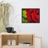 Bold and Beautiful Floral Nature Photo Framed Wall Art Print