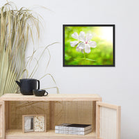 Beauty of the Forest Floor Floral Nature Photo Framed Wall Art Print