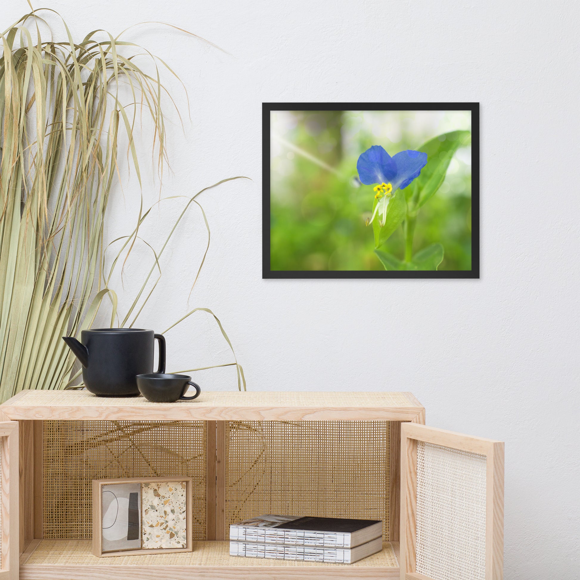Modern Kitchen Framed Art: Asiatic Dayflower - Floral / Botanical / Nature Photo Framed Wall Art Print - Artwork - Modern Wall Decor