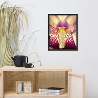 Antiqued Iris Floral Nature Photo Framed Wall Art Print