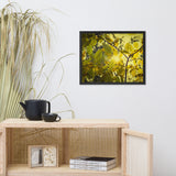 Aged Golden Leaves Botanical Nature Photo Framed Wall Art Print