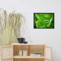 Cupped Droplet Botanical Nature Photo Framed Wall Art Print