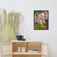 Close-up Hosta Bloom Floral Nature Photo Framed Wall Art Print