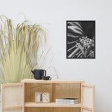 Bloodflowers and Palm Black and White Framed Wall Art Print