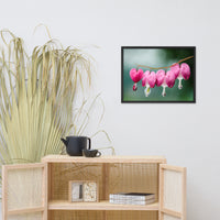 Be Still My Bleeding Heart Floral Nature Photo Framed Wall Art Print