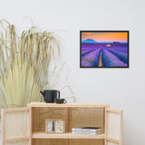 Blooming Lavender Field and Sunset Floral Landscape Framed Photo Paper Wall Art Prints