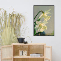 Colorized Daffodils Floral Nature Photo Framed Wall Art Print