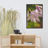 Close-up Hosta Bloom Floral Nature Photo Framed Wall Art Print