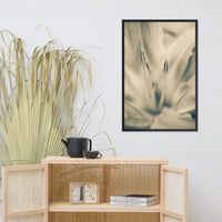 Calm Passions Floral Nature Photo Framed Wall Art Print