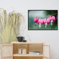 Be Still My Bleeding Heart Floral Nature Photo Framed Wall Art Print