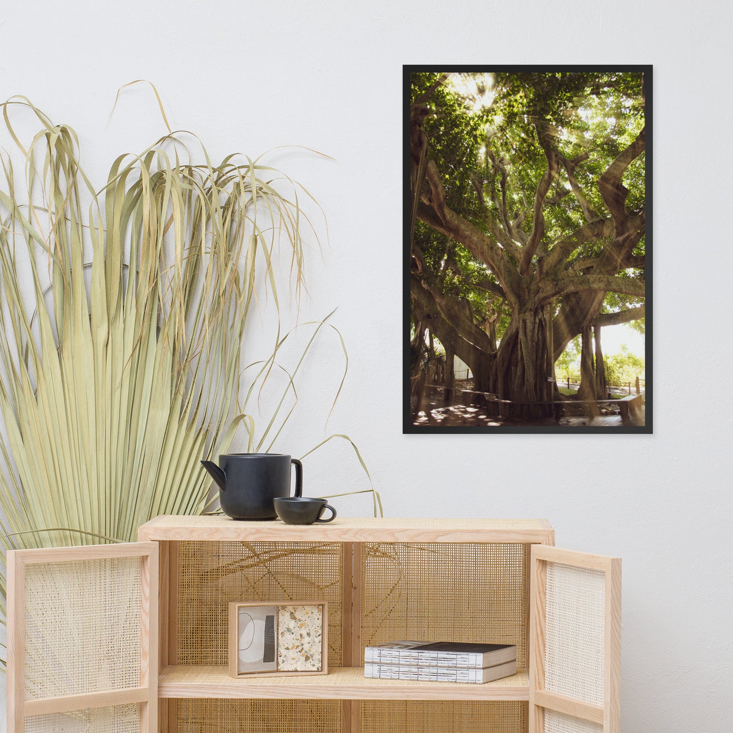 Banyan Tree With Glory Rays of Sunlight Tropical Botanical Nature Photo Framed Wall Art Print