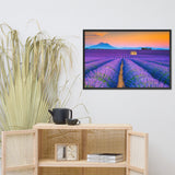 Blooming Lavender Field and Sunset Floral Landscape Framed Photo Paper Wall Art Prints