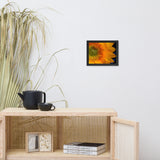 Close-up Sunflower Floral Nature Photo Framed Wall Art Print