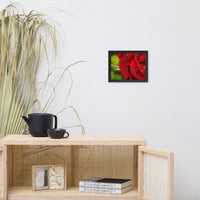 Bold and Beautiful Floral Nature Photo Framed Wall Art Print