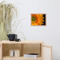 Close-up Sunflower Floral Nature Photo Framed Wall Art Print
