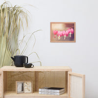 Be Still My Bleeding Heart Warm Summer Glow Floral Nature Photo Framed Wall Art Print