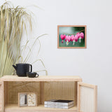 Be Still My Bleeding Heart Floral Nature Photo Framed Wall Art Print