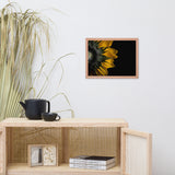 Backside of Sunflower Minimal Floral Nature Photo Framed Wall Art Print