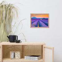 Blooming Lavender Field and Sunset Floral Landscape Framed Photo Paper Wall Art Prints