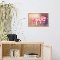 Be Still My Bleeding Heart Warm Summer Glow Floral Nature Photo Framed Wall Art Print