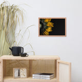 Backside of Sunflower Minimal Floral Nature Photo Framed Wall Art Print
