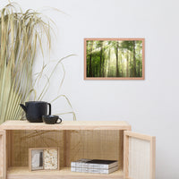 Sun Rays Through Treetops in the Forest Framed Photo Paper Wall Art Prints