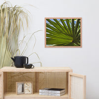 Colorized Wide Palm Leaves Botanical Nature Photo Framed Wall Art Print