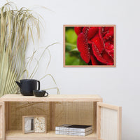 Bold and Beautiful Floral Nature Photo Framed Wall Art Print