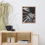 Bloodflowers and Palm Black and White Framed Wall Art Print